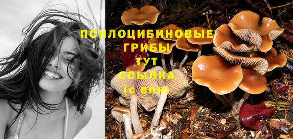 спиды Дмитровск