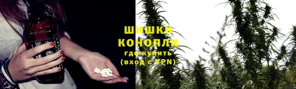 прущие грибы Дмитриев
