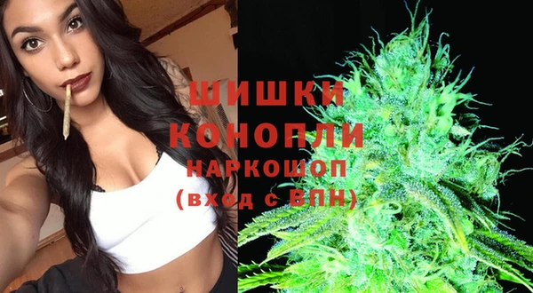 прущие грибы Дмитриев
