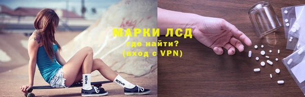 прущие грибы Дмитриев