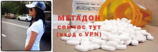 прущие грибы Дмитриев