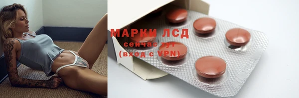 прущие грибы Дмитриев