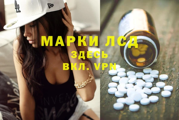 крисы Дмитров